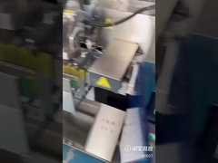 একক স্টেশন স্ট্যান্ড আপ প্যাকেট মশলা শস্য ওটফ্লাই পাউডার প্যাকিং মেশিন জিপার ব্যাগ