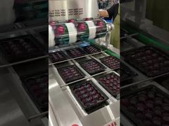 এয়ারফ্লো চেইন