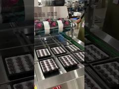 এয়ারফ্লো চেইন২