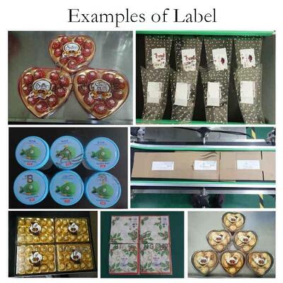 Fully Automatic Dual-Head Phone Film Sticker Machine CH-608 with Easy Tear Labeling for Electronic LCD Screens and Upper/Down Plane Labeling